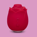 Ein Bild von einem Druckwellen- Vibrator der Marke Lovehoney. Link zu Lovehoney Markenseite / Druckwellen- Vibratoren.
